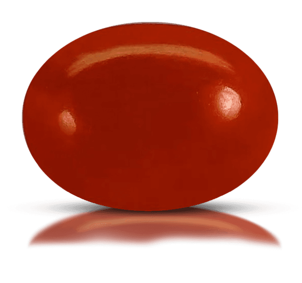 Red Coral