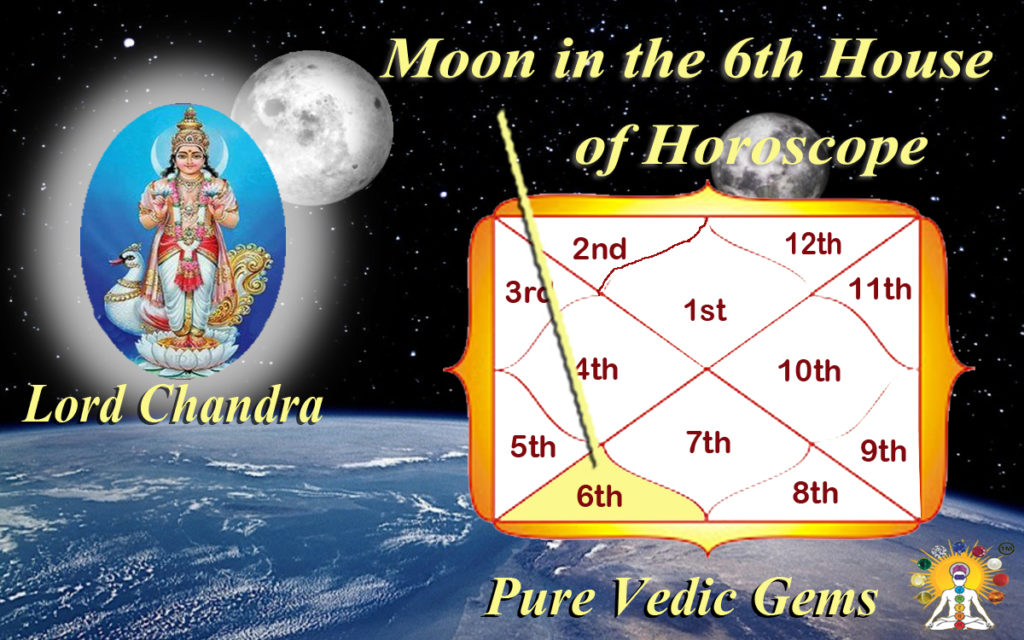 6th house career vedic astrology